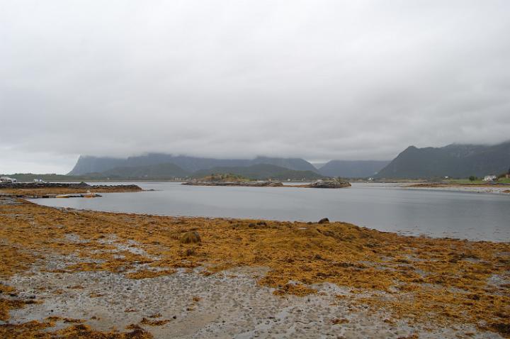 Bassa maera alle Isole Lofoten.JPG - AI PIEDI DELLA RUPE